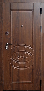 Металлическая дверь Орион